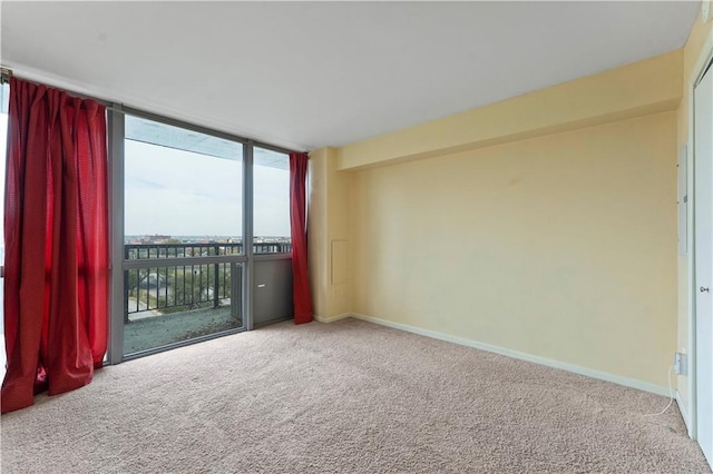 carpeted spare room with expansive windows and baseboards