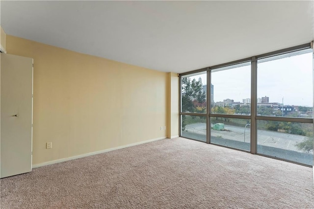 carpeted empty room with baseboards, expansive windows, and a city view