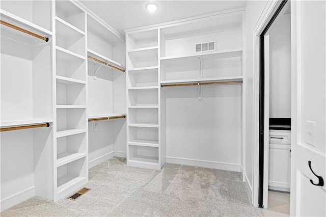 12967 S Constance St, Olathe, KS 66062 - walk in closet with carpet