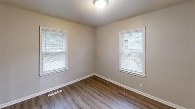 empty room featuring a healthy amount of sunlight and wood-type flooring