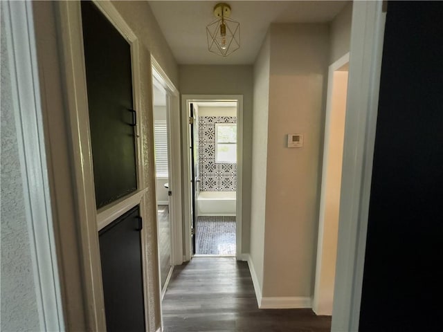 corridor with dark hardwood / wood-style flooring