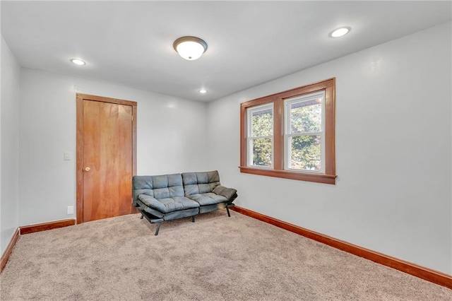 living area featuring carpet flooring