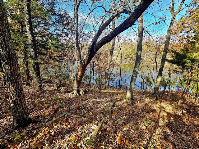 218 NE Lakeside Dr, La Cygne, KS 66040