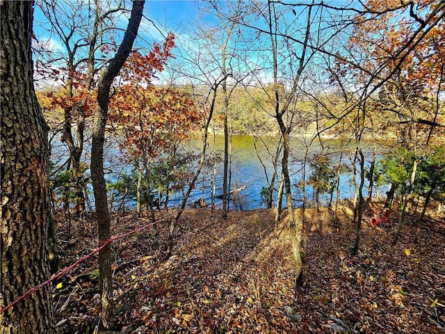 218 NE Lakeside Dr, La Cygne, KS 66040