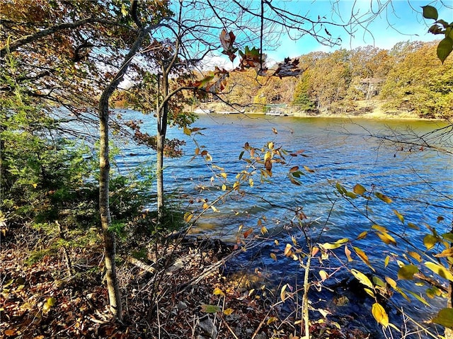 218 NE Lakeside Dr, La Cygne, KS 66040