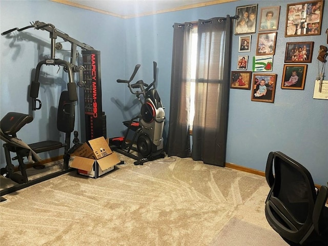 exercise area with ornamental molding and carpet