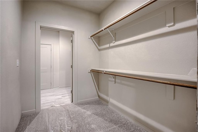 spacious closet featuring carpet flooring