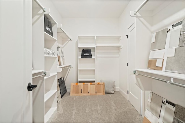 walk in closet with light colored carpet