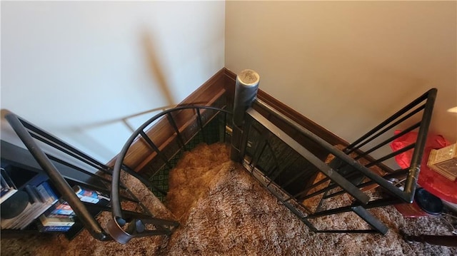 stairway with carpet