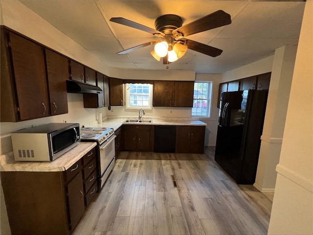 kitchen featuring sink, black appliances, dark brown cabinets, and light hardwood / wood-style floors