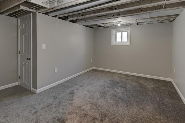 basement featuring carpet floors