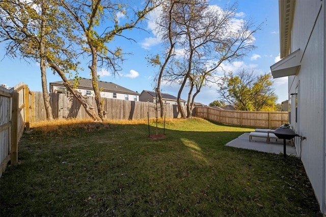 view of yard featuring a patio area