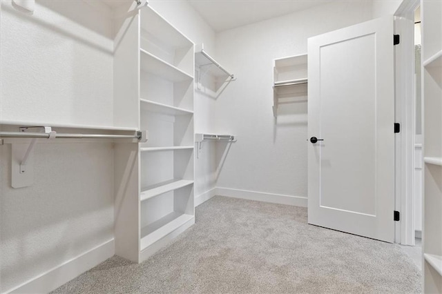 spacious closet with carpet floors
