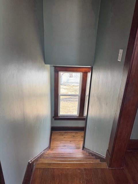 stairway with hardwood / wood-style floors