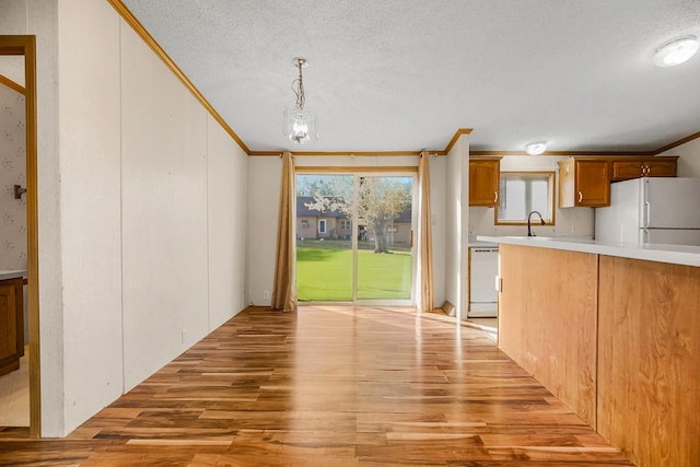 kitchen featuring white appliances, light hardwood / wood-style floors, a textured ceiling, and decorative light fixtures