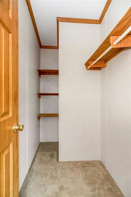 spacious closet featuring light carpet