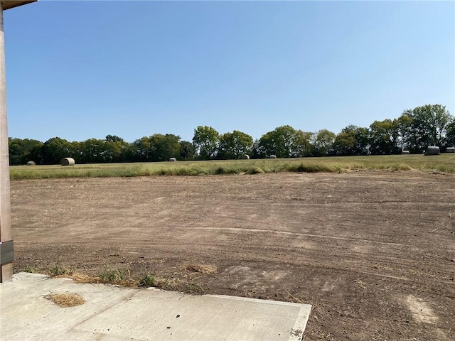 view of yard with a rural view