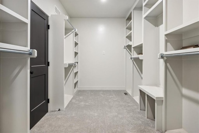 spacious closet featuring light carpet