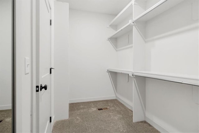 spacious closet featuring light carpet