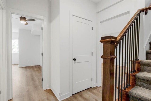 stairway featuring hardwood / wood-style floors