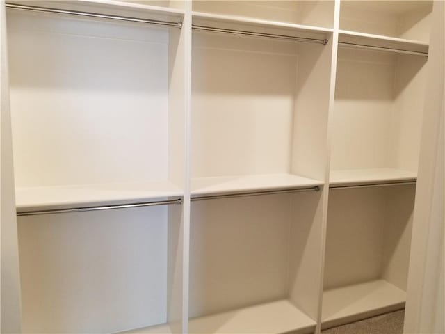 view of walk in closet