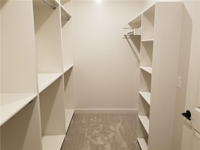 walk in closet with light carpet