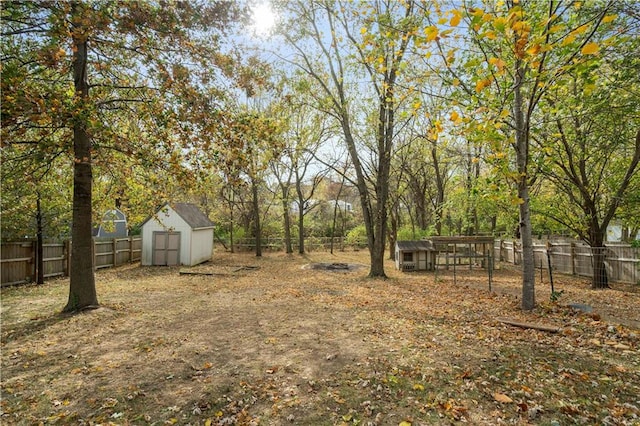 view of yard featuring a storage unit