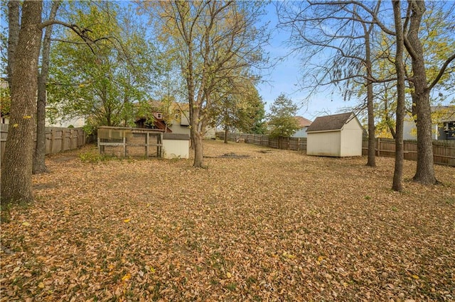 view of yard with a shed