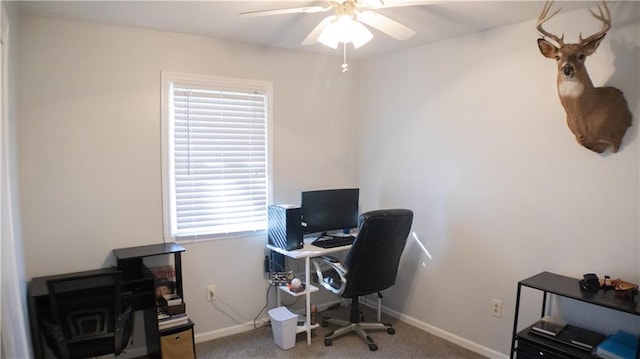 office space featuring carpet and ceiling fan