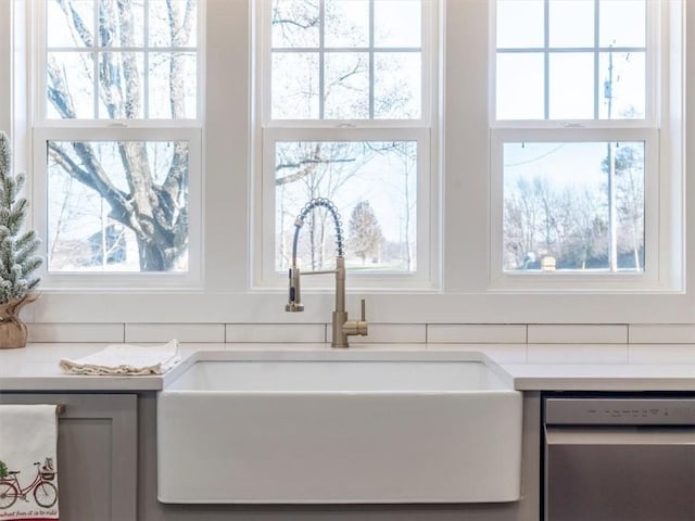 room details with stainless steel dishwasher and sink