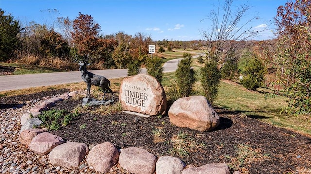 21411 Deer Ridge Dr, Spring Hill KS, 66083 land for sale