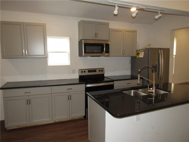 kitchen featuring dark hardwood / wood-style floors, sink, rail lighting, gray cabinets, and appliances with stainless steel finishes