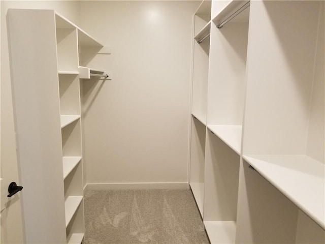 walk in closet featuring carpet flooring