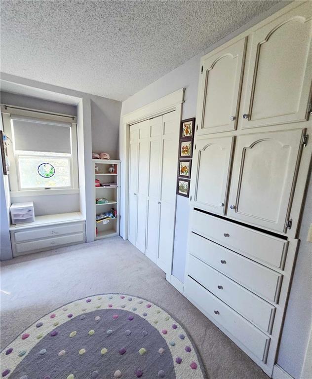 interior space with carpet floors and a textured ceiling