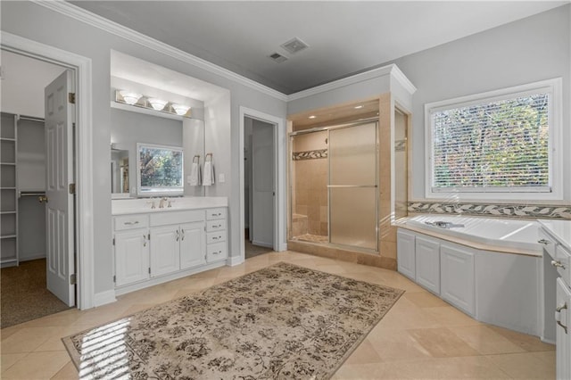 full bathroom with a healthy amount of sunlight, a shower stall, crown molding, and vanity