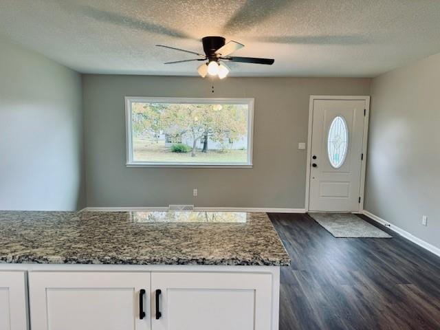 entrance foyer with dark hardwood / wood-style floors, a textured ceiling, and plenty of natural light