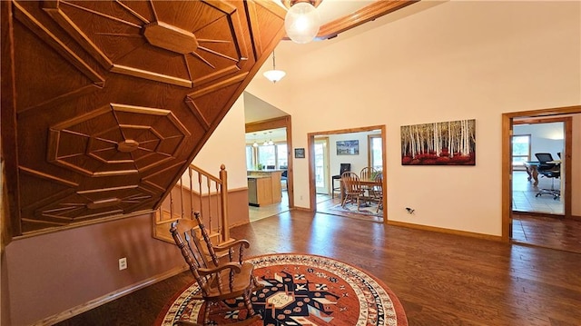 entryway with a high ceiling and dark hardwood / wood-style floors