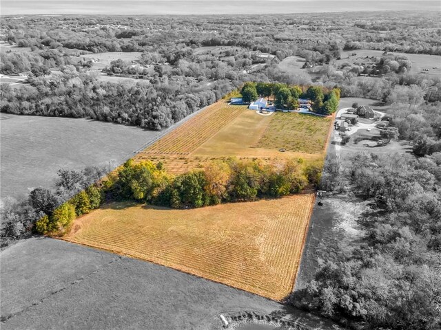 drone / aerial view with a rural view