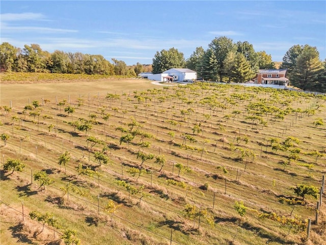 view of yard with a rural view