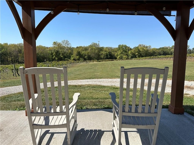 view of yard featuring a patio