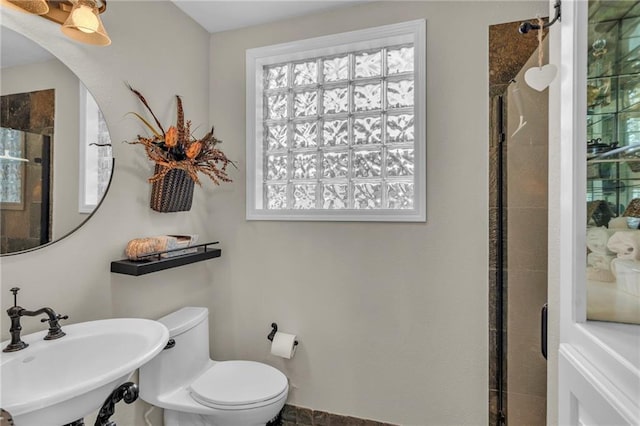 bathroom with sink, a shower with shower door, and toilet