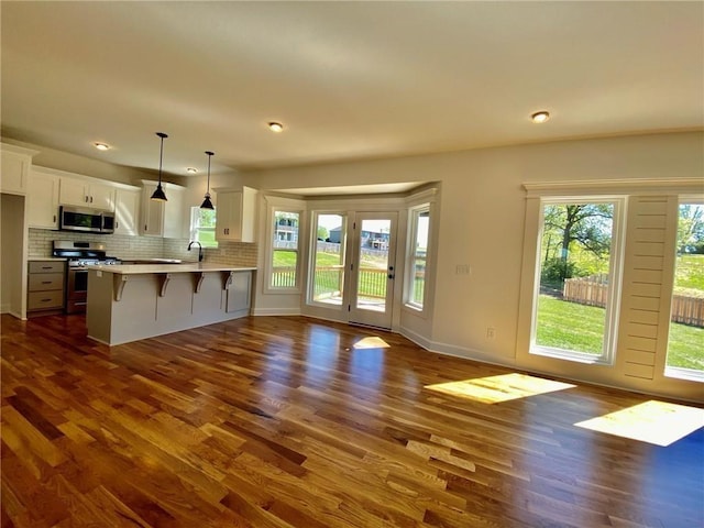 kitchen featuring stainless steel appliances, white cabinetry, and dark hardwood / wood-style flooring