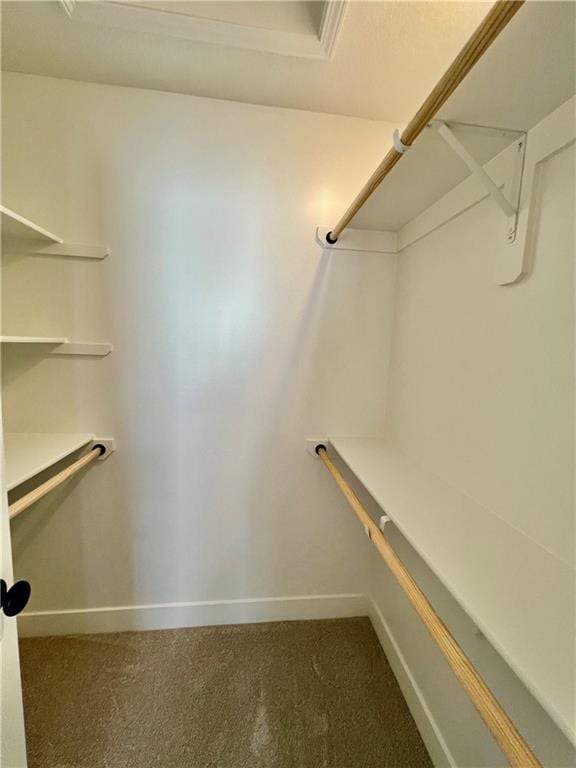 7709 NE 106th Pl, Kansas City, MO 64157 - spacious closet featuring carpet