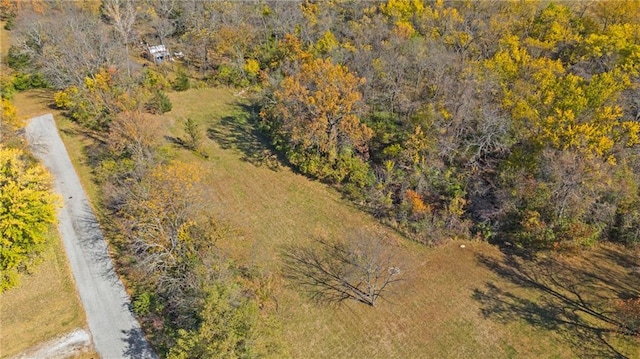 15801 Valentine Ave, Belton, MO 64012 - photo 5