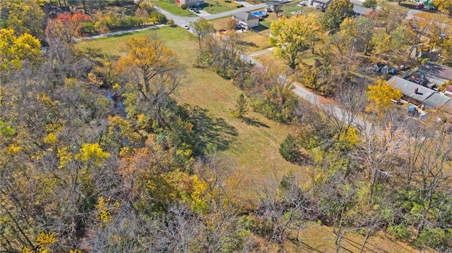 15801 Valentine Ave, Belton, MO 64012 - photo 10