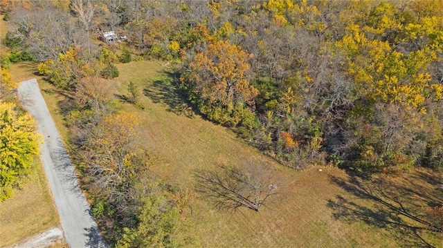 15811 Valentine Ave, Belton, MO 64012 - photo 6