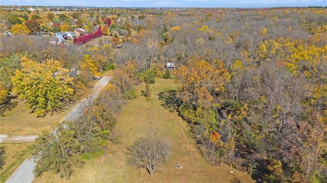 15811 Valentine Ave, Belton, MO 64012 - photo 7