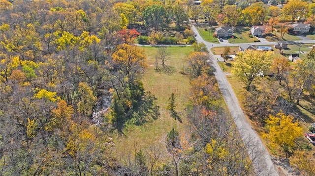 15811 Valentine Ave, Belton, MO 64012 - photo 9