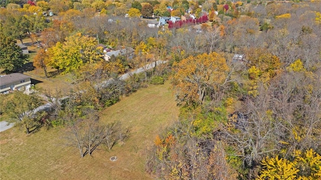 15811 Valentine Ave, Belton, MO 64012 - photo 10