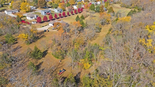 15811 Valentine Ave, Belton, MO 64012 - photo 13